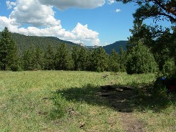 The meadow at Carson Meadows